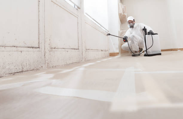 24/7 Emergency Basement Mold Removal experts in Erwinna, PA