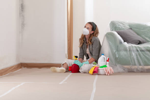 Reliable Basement Mold Removal contractor in Erwinna, PA by WQB Mold Removal